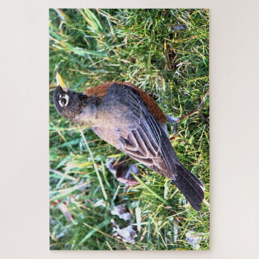 Puzzle Robin en herbe (Vertical)
