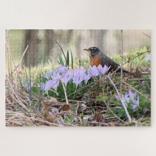 Puzzle Robin parmi les fleurs (Horizontal)