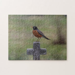Puzzle Robin sur une croix