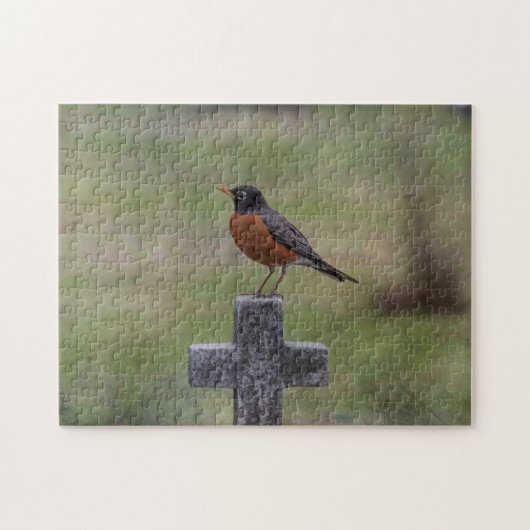 Puzzle Robin sur une croix (Horizontal)
