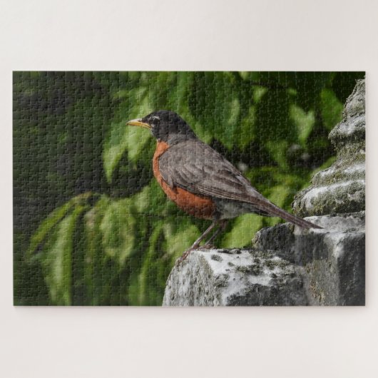 Puzzle Robin sur une pierre de tête (Horizontal)