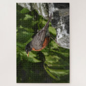 Puzzle Robin sur une pierre de tête (Vertical)