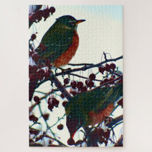 Puzzle Robins en hiver