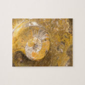 Puzzle Roche avec l'ammonite fossilisée et d'autres (Horizontal)