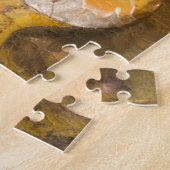 Puzzle Roche avec l'ammonite fossilisée et d'autres (Côté)