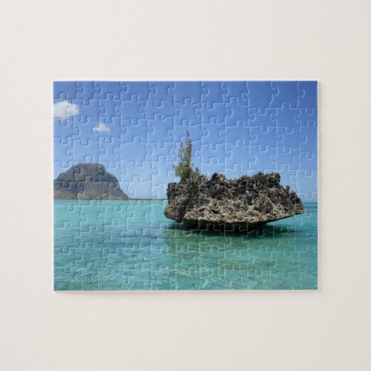 Puzzle Roche en cristal composée de corail (Horizontal)