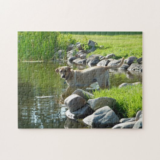 Puzzle Roches de lac labrador Retriever (Horizontal)