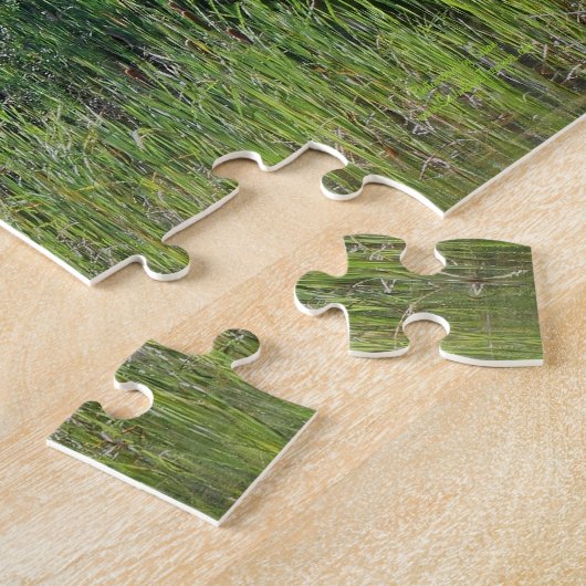 Puzzle Rock Cliff Wall Catters Pond Nature (Côté)