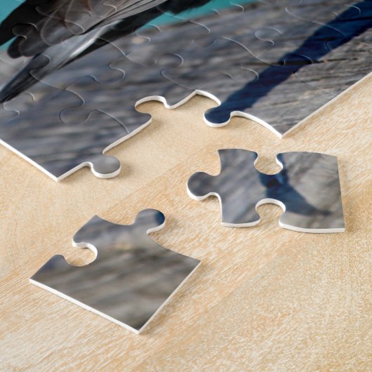 Puzzle Rock Pigeon (Côté)