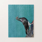 Puzzle Rock Pigeon (Vertical)