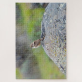 Puzzle Rock Wren (Vertical)