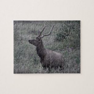 Puzzle Rocky Mountain Elk - RMNP - 8x10 - 110 pc