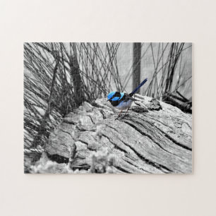 Puzzle Roitelet bleu féerique de casse-tête - 250