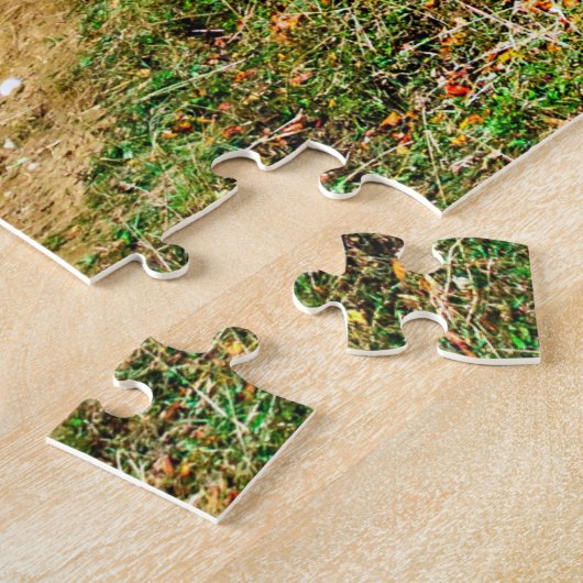 Puzzle romania (Côté)