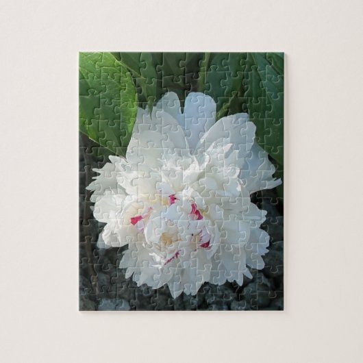 Puzzle romantique Peony (Vertical)