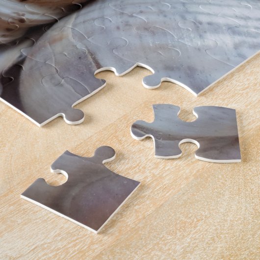 Puzzle Romantique Tropical Exotic Sea Shells Plage Amour (Côté)