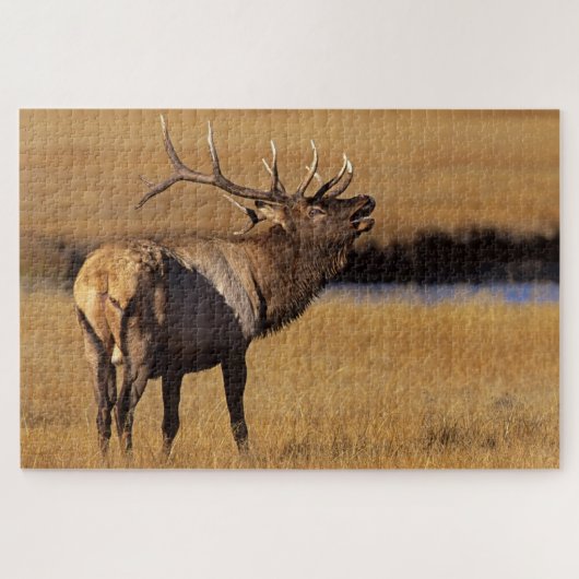 Puzzle Roosevelt Eull Elk Wyoming (Horizontal)
