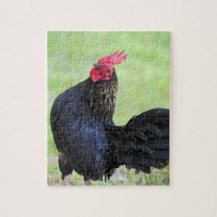Puzzle Rooster noir