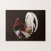 Puzzle Rooster Rouge Avec Plumes De Queue Blanche (Horizontal)
