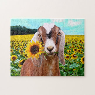 Puzzle "Rory"