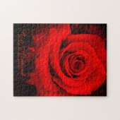 Puzzle Rosa Kardinal [Puzzle (252 pièce)] (Horizontal)