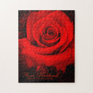 Puzzle Rosa Kardinal [Puzzle (252 pièce)]