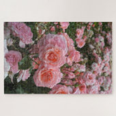 Puzzle Rosa ‘Kate Sheppard’ rosier (Horizontal)