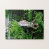 Puzzle Rosaleda de Madrid. (Horizontal)