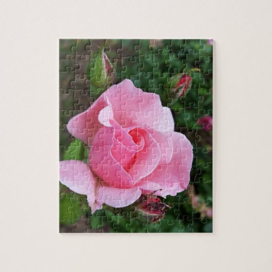 Puzzle rose (Vertical)