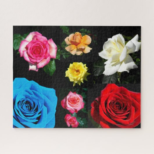 Puzzle Rose (Horizontal)