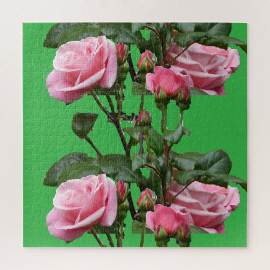 PUZZLE ROSE ANGLAIS ROSE (Vertical)