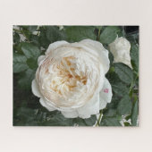 Puzzle Rose anglaise crème, San Francisco (Horizontal)