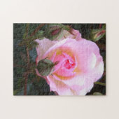 Puzzle Rose anglaise parfaite (Horizontal)