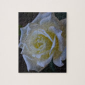Puzzle Rose blanc au crépuscule (Vertical)