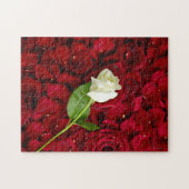 Puzzle Rose blanc sur les pétales rouges (Horizontal)