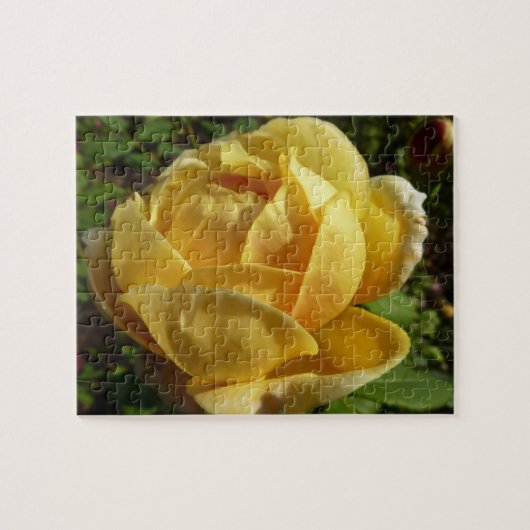 Puzzle Rose d'Angleterre (Horizontal)