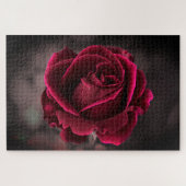 Puzzle Rose de Bourgogne (Horizontal)