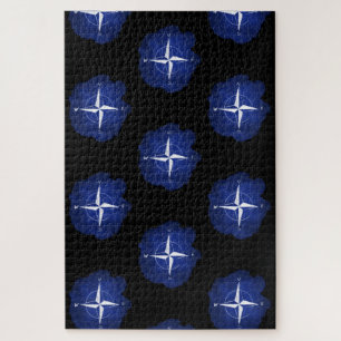 Puzzle rose de boussole