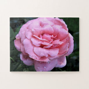 Puzzle rose de la reine Elizabeth