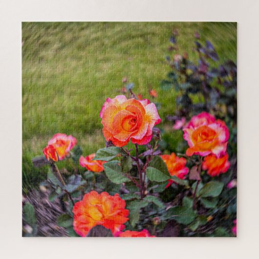 Puzzle Rose de Mardi Gras avec une touche (Vertical)