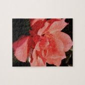 Puzzle rose de pêche et détritus (Horizontal)