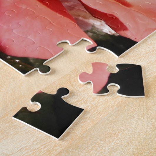 Puzzle rose de pêche et détritus (Côté)