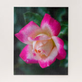 Puzzle Rose de thé hybride (Vertical)