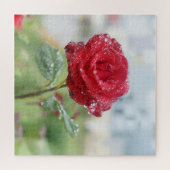 Puzzle Rose en gouttes de pluie (Horizontal)