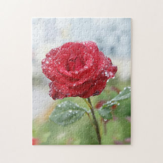 Puzzle Rose en gouttes de pluie 