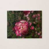 Puzzle Rose et Rose blanche (Horizontal)