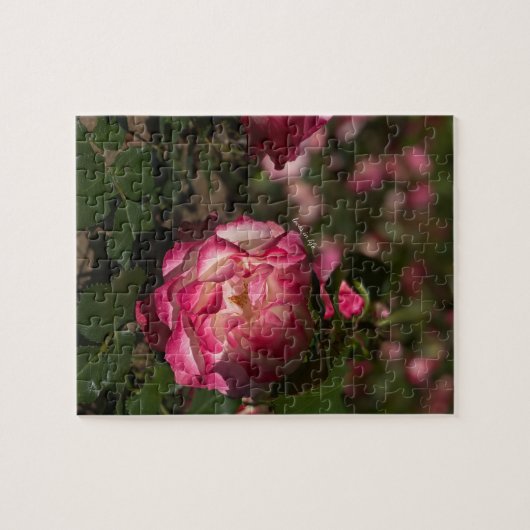 Puzzle Rose et Rose blanche (Horizontal)