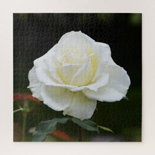 Puzzle Rose florale blanche de Noël (Vertical)