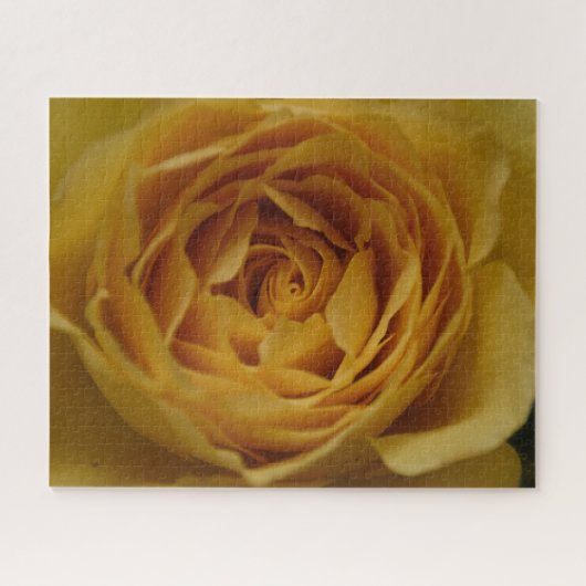 Puzzle rose jaune (Horizontal)