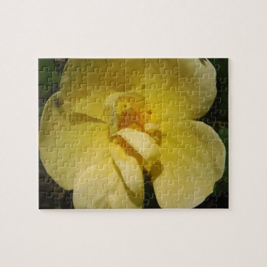 Puzzle Rose jaune sauvage (Horizontal)